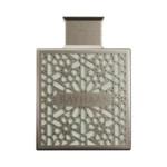 Rayhaan Terra Eau de Parfum – Long Lasting Woody Fragrance for Men